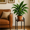 Plant Stand Flower Shelf Round Base