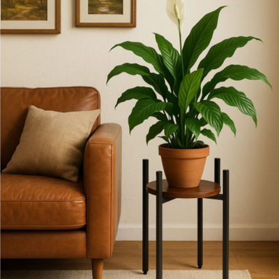 Plant Stand Flower Shelf Round Base