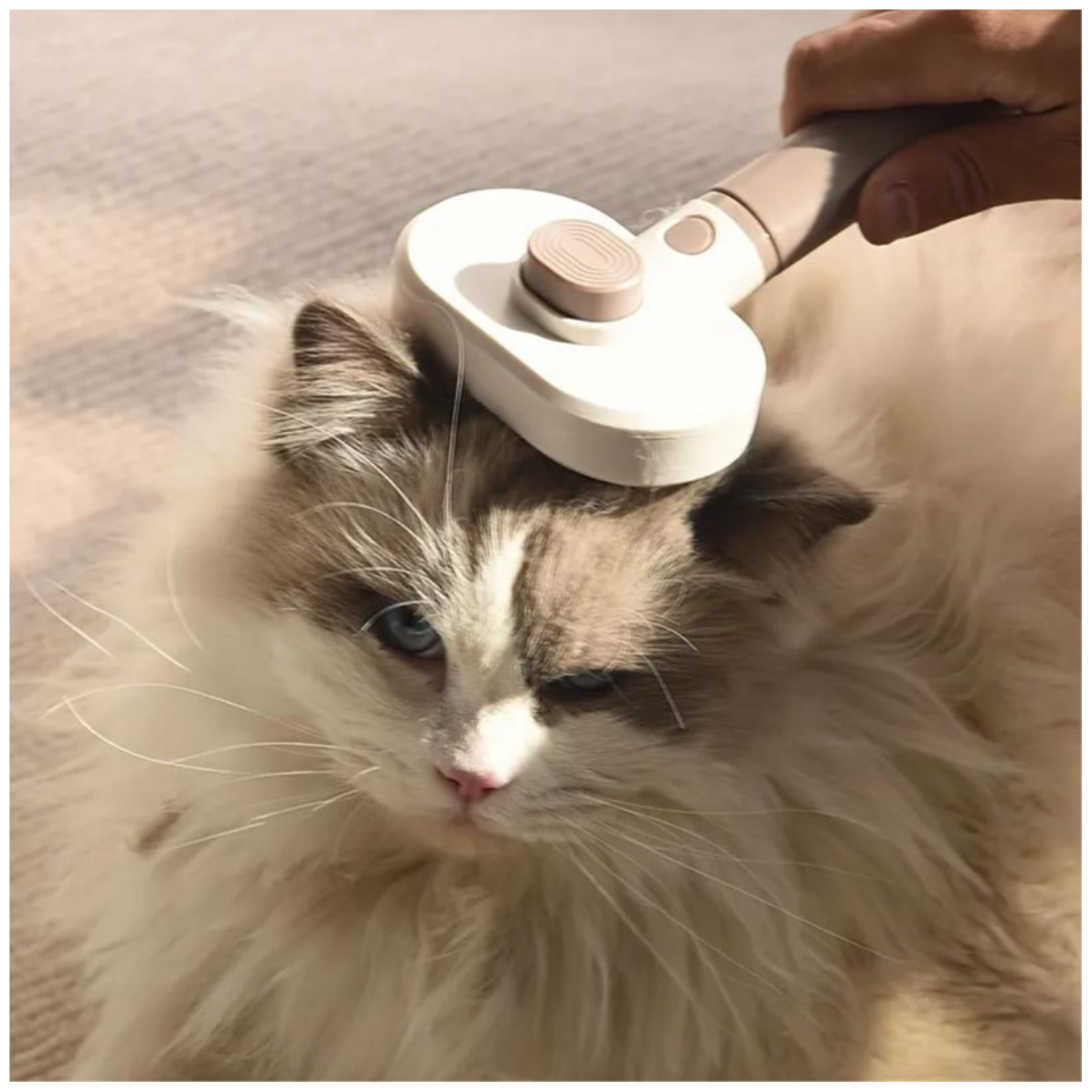 2 In 1 Multi-fuctional Pet Comb
