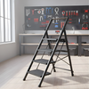 Foldable Iron Ladder with Handrail 4 Steps