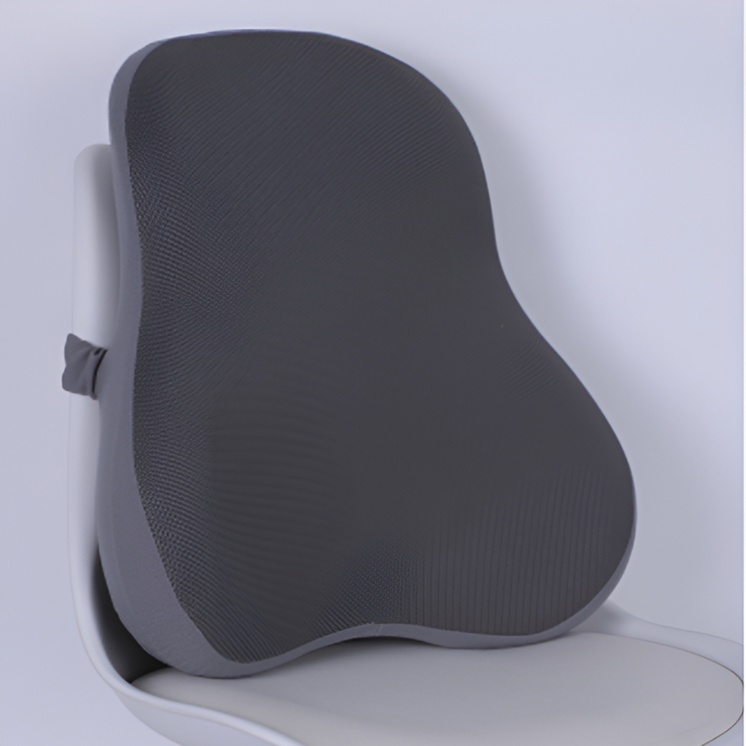 Memory Foam Lumbar Support Pillow