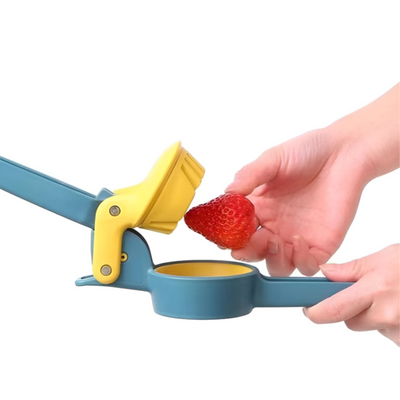 Fruit & Vegetable Slicer