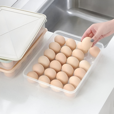 Egg Storage Box (2 PCS)