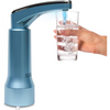 Professional Facial Steamer