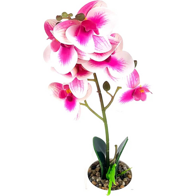 Natural Artificial Flower Plant 53cm