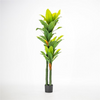 Plant Tree