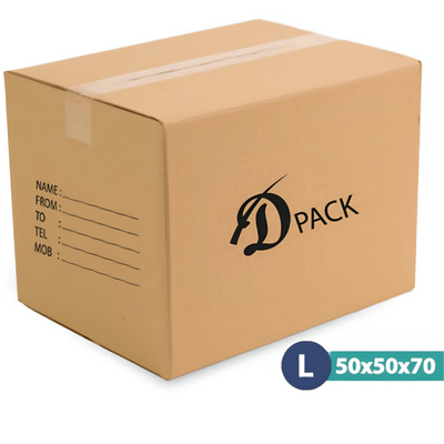 Cargo Cartoon Packing Carton Brown Large