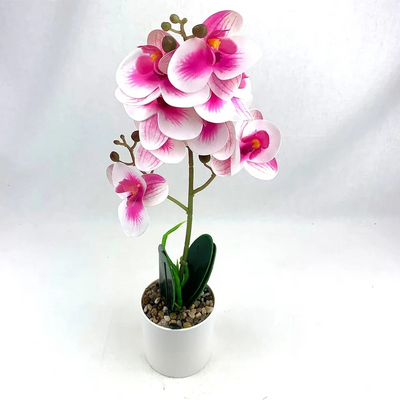 Natural Artificial Flower Plant 53cm
