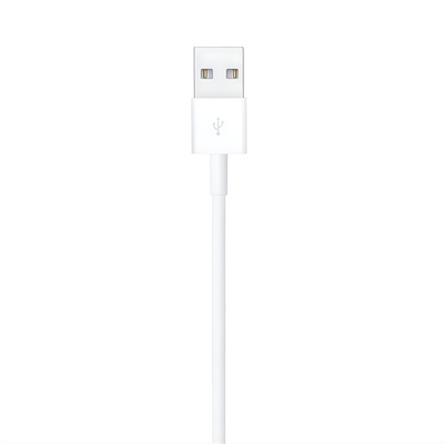 Apple 2 Mtr Cable Lightning To Usb
