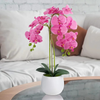 Natural Atificial Flower Plant 53cm