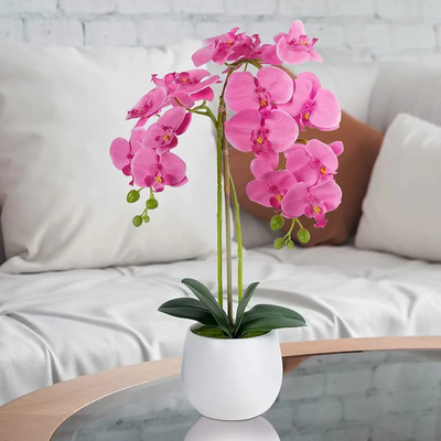 Natural Atificial Flower Plant 53cm