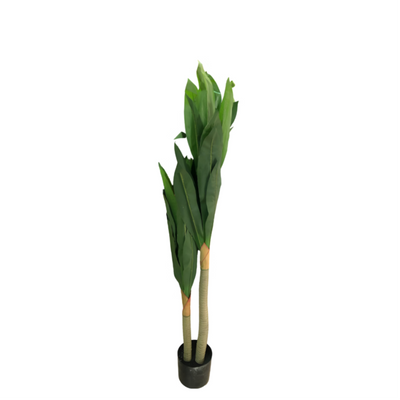 Plant Tree