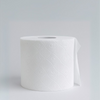 Ayra Toilet Tissue 10 Rolls 2Ply 300 Sheets