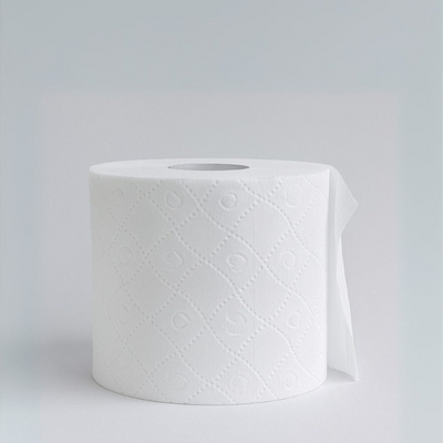 Ayra Toilet Tissue 10 Rolls 2Ply 300 Sheets