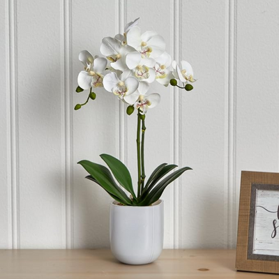 Natural Artificial Flower Plant 53cm