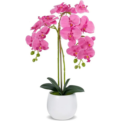Natural Atificial Flower Plant 53cm