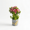 Artificial Natural Flower Pot