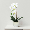 Natural Artificial Flower Plant 53cm